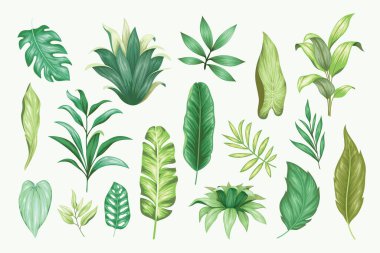 Güzel klasik el çizimi çiçek vektör koleksiyonu