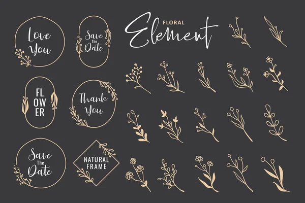 Beautiful Hand Drawn Floral Wreath Vector Collection — Vetor de Stock