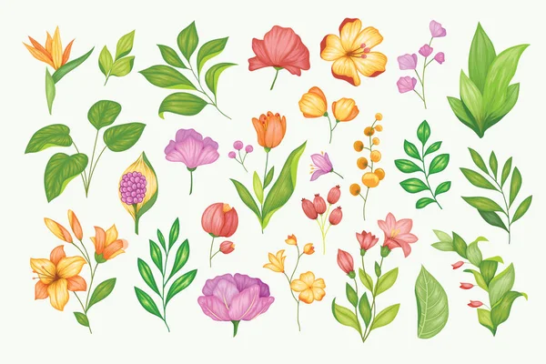 Beautiful Vintage Hand Drawn Floral Vector Collection — Vetor de Stock