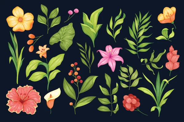 Beautiful Vintage Hand Drawn Floral Vector Collection — Wektor stockowy