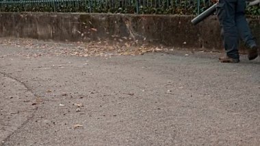 Sonbahar yapraklarından arta kalanlarla temizlenmiş şehir yolu yaprak temizleme çalışmalarından sonra kenarda kaldı.