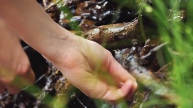 Serin bir bahar gününde kumlu sahil kenarında yürüyen bir kız. Doğada tek başına yürümek..