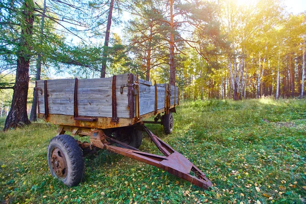 Tractor trailer. An old trailer sits on a green lawn