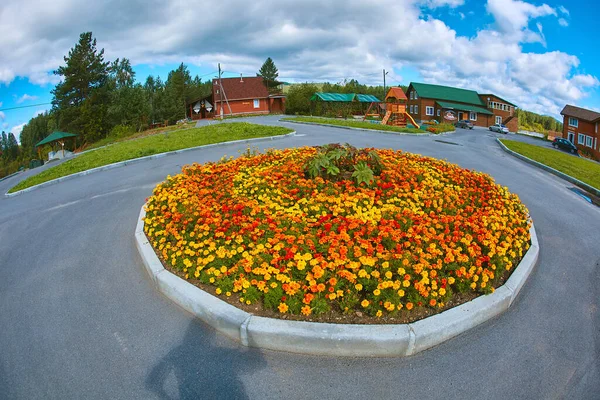 Beautiful round flower bed with marigolds, fisheye lens photography — Stock Image Beautiful round flower bed with marigolds, fisheye lens photography Royalty Free Stock Photos