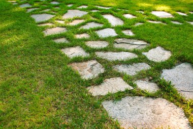 Parktaki yeşil çimenli taş blok patikası.