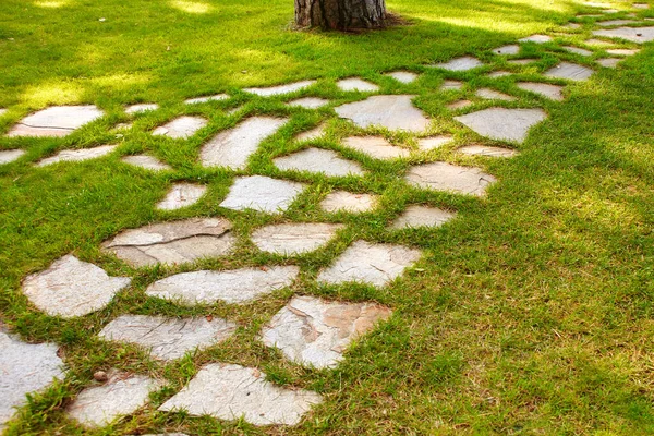 Camino de piedra en un césped verde cubierto de hierba. El camino pavimentó piedras individuales entre una hierba verde. — Foto de Stock