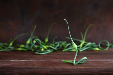 Koyu arkaplanda zarif yeşil sarımsak sapları.