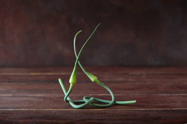 Koyu arkaplanda zarif yeşil sarımsak sapları..