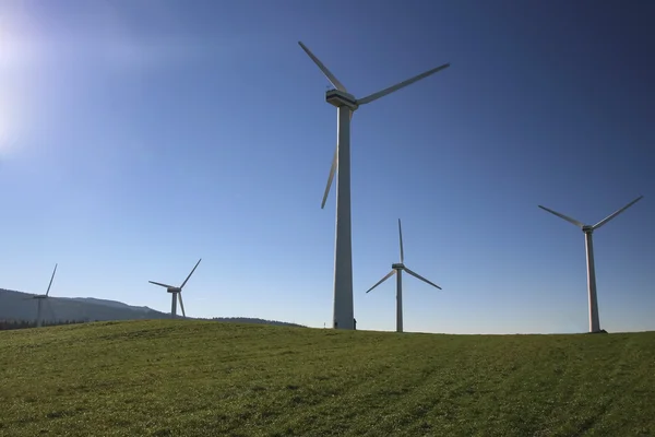 wind power in nature