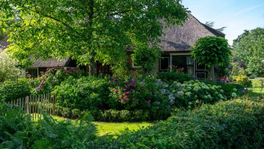 Hollanda, Giethoorn 'un tipik evleri. Güzel evler ve bahçıvanlık. Çiftlik alanındaki ünlü Giethoorn köyünün manzarası. Kanalları ve sazdan yapılmış çatıları var..