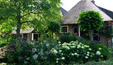 Hollanda, Giethoorn 'un tipik evleri. Güzel evler ve bahçıvanlık. Çiftlik alanındaki ünlü Giethoorn köyünün manzarası. Kanalları ve sazdan yapılmış çatıları var..