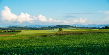 Fransa 'nın doğusundaki, İsviçre ve Alman sınırlarına yakın güzel bir çevredeki tarım arazilerinin ideolojik kırsal manzarası. Tarlalar ve harika mavi gökyüzü, gölgeli panoramik manzara.