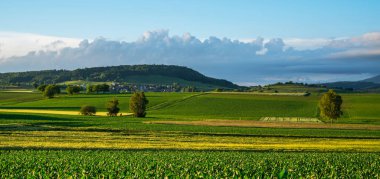 Güzel yeşil ve sarı tepeler. Gün batımı. Gölgeli panoramik manzara. Güney Fransa 'da bir çiftlik evi ve tarlası olan yaz kırsal arazisi.