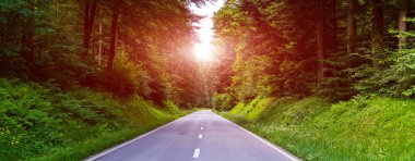 Almanya, Kara Orman 'da düz yol ya da otoyol. Almanya, Kara Orman 'ın yanındaki ağaçlarla dolu düz kırsal bir yol. Büyük ormandaki kırsal yol. Yaz manzarası. Gün doğumu veya günbatımı görüntüsü. Yumuşak odak.