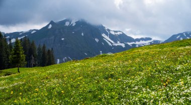 Arka planda güzel tepeler ve dağlar manzaralı. Renkli bahar manzarası. Güzel bir açık hava sahnesi, Obwalden, İsviçre kantonu. İşlenmiş fotoğraf sonrası sanatsal stil.