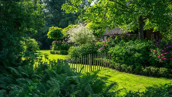 Widok Typowych Domów Giethoorn Holandia Piękne Domy Ogrodnictwo Widok Krajobrazowy — Zdjęcie stockowe