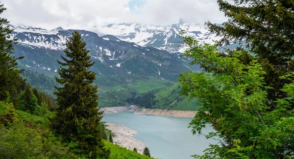 Красивый Вид Живописный Горный Ландшафт Альпах Свежие Зеленые Луга Голубым — стоковое фото