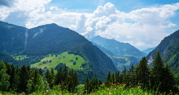 Voorjaarslandschap Met Bloemenweide Bergen Panoramisch Uitzicht Idyllisch Berglandschap Alpen Met — Stockfoto
