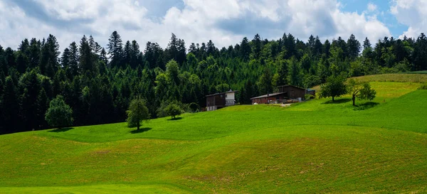 Uitzicht Boerderij Schuur Landelijke Omgeving Zwitserland Begrip Biologische Landbouw Kleurrijke — Stockfoto