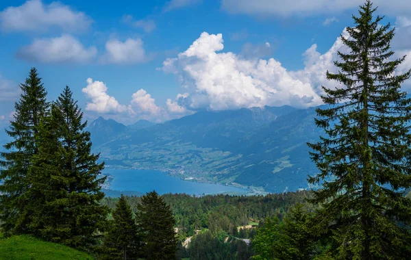 Wandelen Zwitserse Alpen Hoge Alpenroute Zwitserse Alpen Kanton Obwalden Zwitserland — Stockfoto