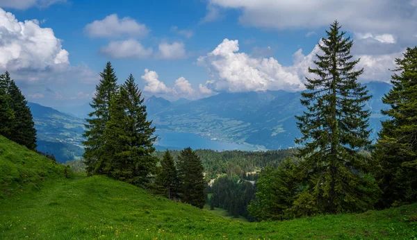 Idyllisch Uitzicht Prachtige Omgeving Buurt Van Het Lungern Meer Bergen — Stockfoto