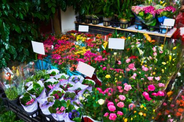 Çiçekçide güzel bir buket karışık çiçek. Güzel, taze buketler. Seçici odak.