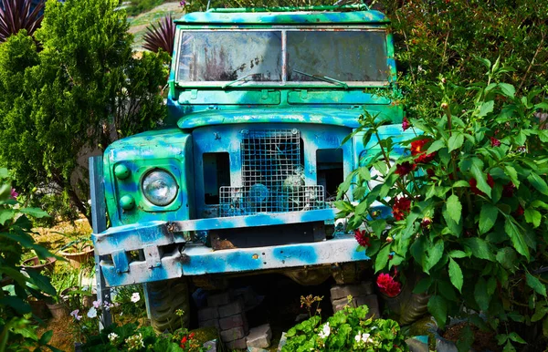 被遗弃和变质的旧卡车 古旧的卡车花 花园的旧皮卡 — 图库照片