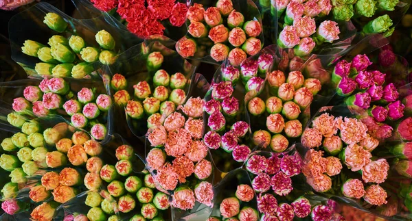 Beaux Bouquets Fleurs Mélangées Dans Une Boutique Fleurs Brillant Mélange — Photo