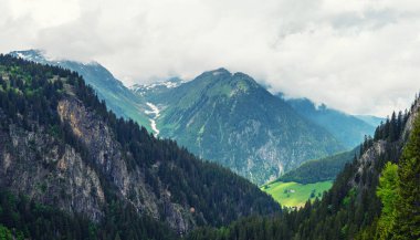 Provence-Alpes-Cote d 'Azur bölgesindeki Verdon Gorge kayalıklarına bakın. Rocky Dağları. Arka planda yeşil dağ vadisi. Aktif, ekolojik ve fotoğraf turizmi kavramı.