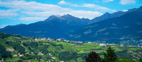 Blick Auf Das Nonstal Der Sommersaison Blick Auf Die Weinberge — Stockfoto