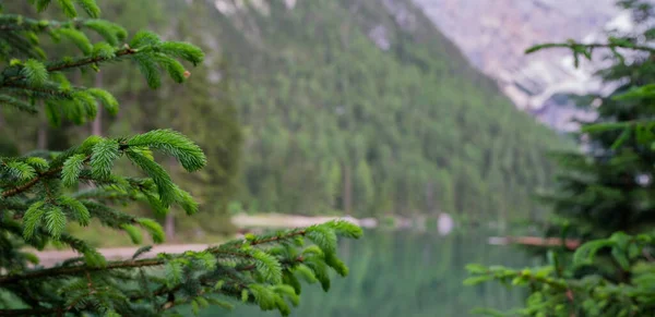 Impressionante Bellissimo Lago Montagna Fiabesco Nelle Alpi Italiane Scena Mozzafiato — Foto Stock