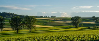 Güzel yeşil ve sarı tepeler. Gün batımı. Gölgeli panoramik manzara. Güney Fransa 'da yaz kırsal arazileri. Tarım arazileri ve harika mavi gökyüzü.