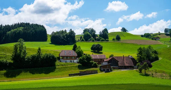 Panoramisch Uitzicht Idyllisch Landschap Van Landbouwgrond Met Frisse Groene Weiden — Stockfoto