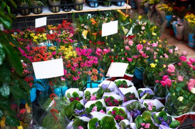 Sonbahar mahsulü kompozisyon. Kurumuş sonbahar yaprakları, palamut, kozalak, pastel arka planda kuru böğürtlenlerden yapılmış çerçeve. Tonlanmış görüntü. Düz konum, üst görünüm, kopyalama alanı.