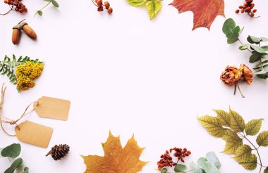 Sonbahar mahsulü kompozisyon. Kurumuş sonbahar yaprakları, palamut, kozalak, pastel arka planda kuru böğürtlenlerden yapılmış çerçeve. Tonlanmış görüntü. Düz konum, üst görünüm, kopyalama alanı.