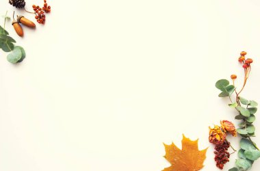 Sonbahar mahsulü kompozisyon. Kurumuş sonbahar yaprakları, palamut, kozalak, pastel arka planda kuru böğürtlenlerden yapılmış çerçeve. Tonlanmış görüntü. Düz konum, üst görünüm, kopyalama alanı.