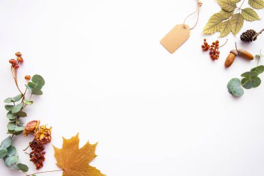 Sonbahar mahsulü kompozisyon. Kurumuş sonbahar yaprakları, palamut, kozalak, pastel arka planda kuru böğürtlenlerden yapılmış çerçeve. Tonlanmış görüntü. Düz konum, üst görünüm, kopyalama alanı.