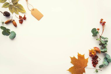 Sonbahar mahsulü kompozisyon. Kurumuş sonbahar yaprakları, palamut, kozalak, pastel arka planda kuru böğürtlenlerden yapılmış çerçeve. Tonlanmış görüntü. Düz konum, üst görünüm, kopyalama alanı.