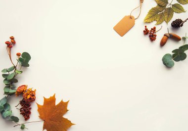 Sonbahar mahsulü kompozisyon. Kurumuş sonbahar yaprakları, palamut, kozalak, pastel arka planda kuru böğürtlenlerden yapılmış çerçeve. Tonlanmış görüntü. Düz konum, üst görünüm, kopyalama alanı.