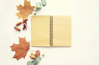 Sonbahar mahsulü kompozisyon. İçinde sonbahar kurumuş yapraklar, meşe palamudu, kozalak, pastel arka planda kuru böğürtlen olan eski model bir defter. Tonlanmış görüntü. Düz konum, üst görünüm, kopyalama alanı.