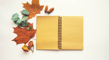 Sonbahar mahsulü kompozisyon. İçinde sonbahar kurumuş yapraklar, meşe palamudu, kozalak, pastel arka planda kuru böğürtlen olan eski model bir defter. Tonlanmış görüntü. Düz konum, üst görünüm, kopyalama alanı.