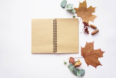 Sonbahar mahsulü kompozisyon. İçinde sonbahar kurumuş yapraklar, meşe palamudu, kozalak, pastel arka planda kuru böğürtlen olan eski model bir defter. Tonlanmış görüntü. Düz konum, üst görünüm, kopyalama alanı.