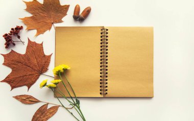 Sonbahar mahsulü kompozisyon. İçinde sonbahar kurumuş yapraklar, meşe palamudu, kozalak, pastel arka planda kuru böğürtlen olan eski model bir defter. Tonlanmış görüntü. Düz konum, üst görünüm, kopyalama alanı.