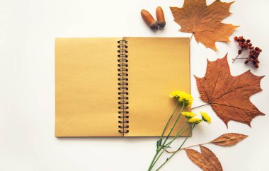 Sonbahar mahsulü kompozisyon. İçinde sonbahar kurumuş yapraklar, meşe palamudu, kozalak, pastel arka planda kuru böğürtlen olan eski model bir defter. Tonlanmış görüntü. Düz konum, üst görünüm, kopyalama alanı.