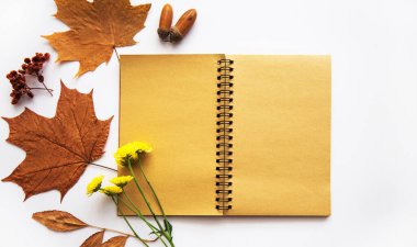 Sonbahar mahsulü kompozisyon. İçinde sonbahar kurumuş yapraklar, meşe palamudu, kozalak, pastel arka planda kuru böğürtlen olan eski model bir defter. Tonlanmış görüntü. Düz konum, üst görünüm, kopyalama alanı.