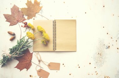 Sonbahar mahsulü kompozisyon. Kurumuş sonbahar yaprakları, meşe palamudu, kozalak, pastel paçavra bir arka planda kuru böğürtlen içeren eski model bir defter. Düz konum, üst görünüm, kopyalama alanı.
