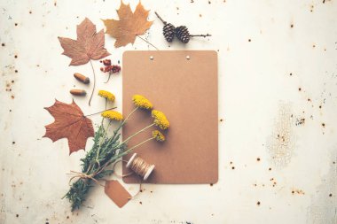 Sonbahar mahsulü kompozisyon. Kurumuş sonbahar yaprakları, meşe palamudu, kozalak, pastel paçavra bir arka planda kuru böğürtlen içeren eski model bir defter. Düz konum, üst görünüm, kopyalama alanı.