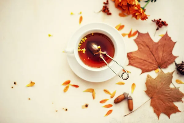 Otoño Hojas Otoño Flores Taza Caliente Hierbas Sobre Fondo Rústico — Foto de Stock