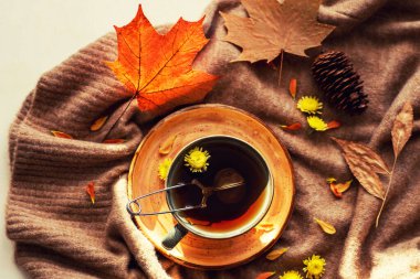 Parlak sonbahar kompozisyonu ve güneş ışınları. Bir fincan bitki çayı, sıcak bir eşarp, kırsal bir zeminde kurumuş yapraklar. Sonbahar, sonbahar konsepti. Düz konum, üst görünüm, kopyalama alanı. Renkli resim.