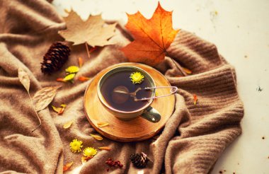 Parlak sonbahar kompozisyonu ve güneş ışınları. Bir fincan bitki çayı, sıcak bir eşarp, kırsal bir zeminde kurumuş yapraklar. Sonbahar, sonbahar konsepti. Düz konum, üst görünüm, kopyalama alanı. Renkli resim.